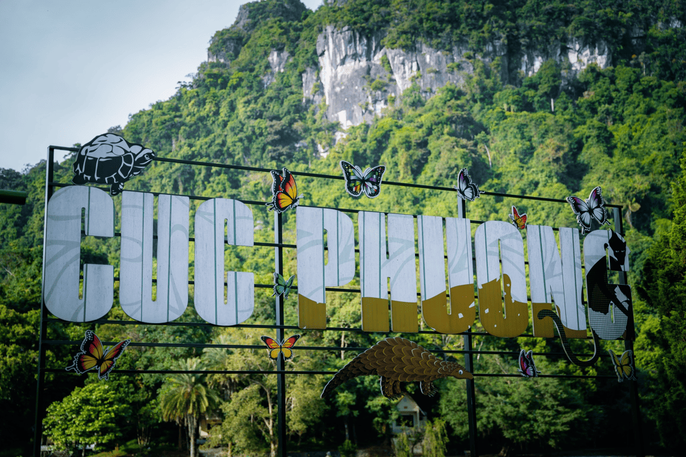 Vietnam&rsquo;s oldest national park, covered in golden foliage and perfect for nature walks (Source: Fanpage Vườn quốc gia C&uacute;c Phương - Cuc Phuong National Park)